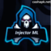 Emote Injector ML